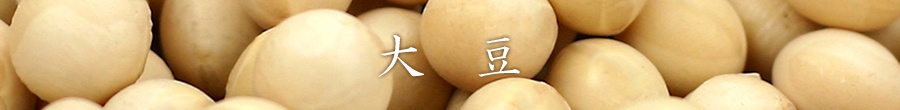 大豆