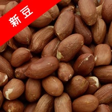 素煎落花生(新豆)